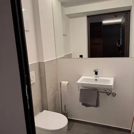 Traube 2 Apartment Hopfgarten im Brixental