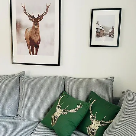 Guest house Appartement-gasthof Traube 2